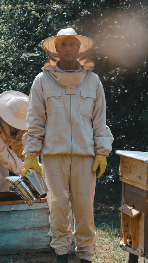 有关养蜂人套装, 养蜂场, 垂直视频的免费素材视频
