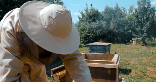 有关一群, 养蜂人, 养蜂人套装的免费素材视频