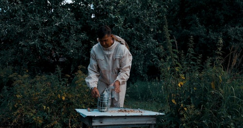 有关人,养蜂人,养蜂人套装的免费素材视频