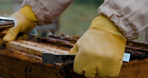 有关一群,养蜂人,养蜂人套装的免费素材视频