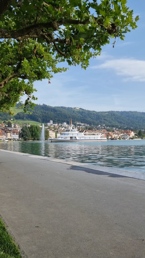 有关垂直视频,树,水的免费素材视频