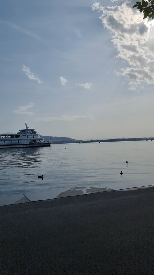 有关垂直视频,树,水的免费素材视频