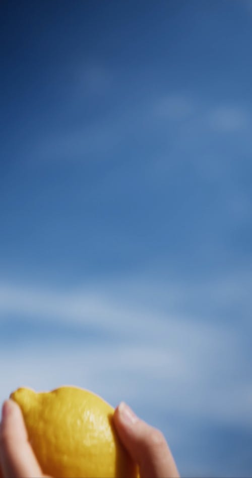 有关垂直视频, 戒指, 握住的免费素材视频