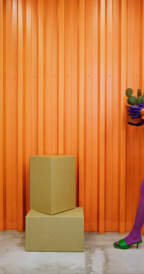 有关orange_background, コロネカントプロソタ, 人的免费素材视频