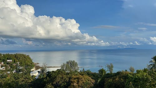 有关天性, 天空, 延时摄影的免费素材视频