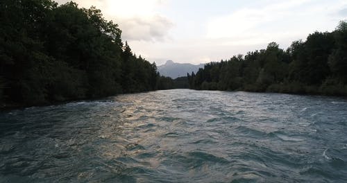 有关天性, 水流动, 水体的免费素材视频