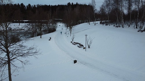 有关公园,冬季,大雪覆盖的免费素材视频