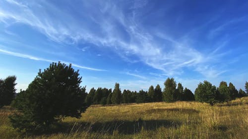 有关优美的风景, 天性, 天空的免费素材视频