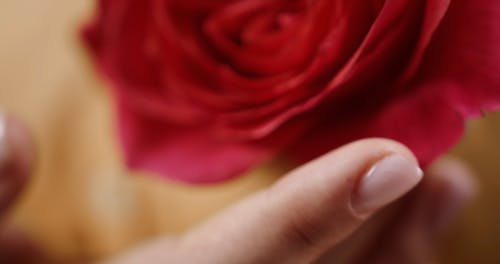 有关微妙, 接触, 特写的免费素材视频