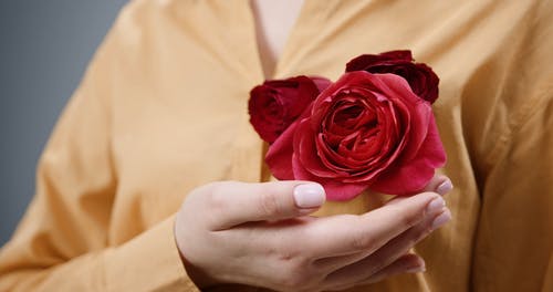 有关咖啡色头发的女人, 微妙, 接触的免费素材视频