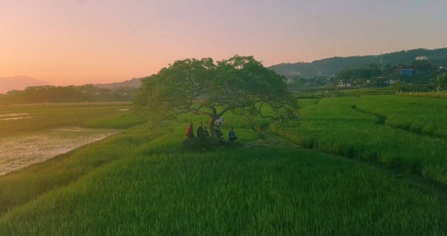 有关@户外,人,农业领域的免费素材视频