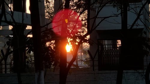 有关光, 在剪影, 城市的免费素材视频