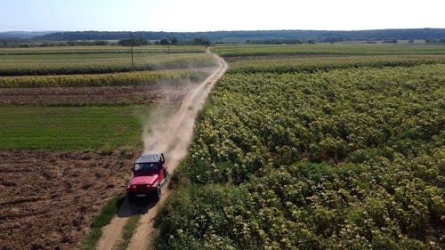 有关4×4, 偶然的人, 农业领域的免费素材视频