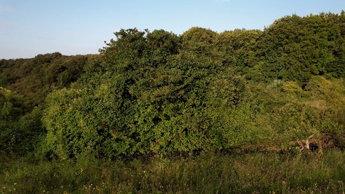有关天性,工厂,性质的免费素材视频