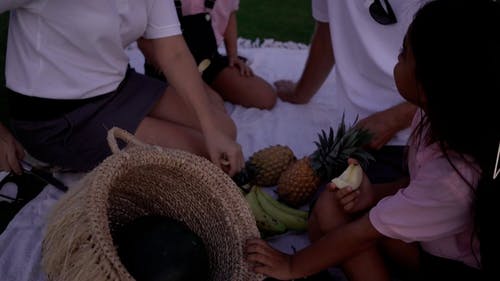 有关一起, 假期, 吃的免费素材视频