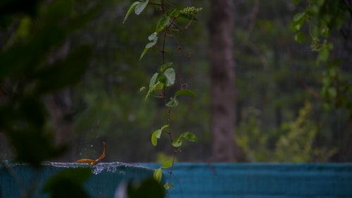 有关下雨,下雨天,工厂的免费素材视频