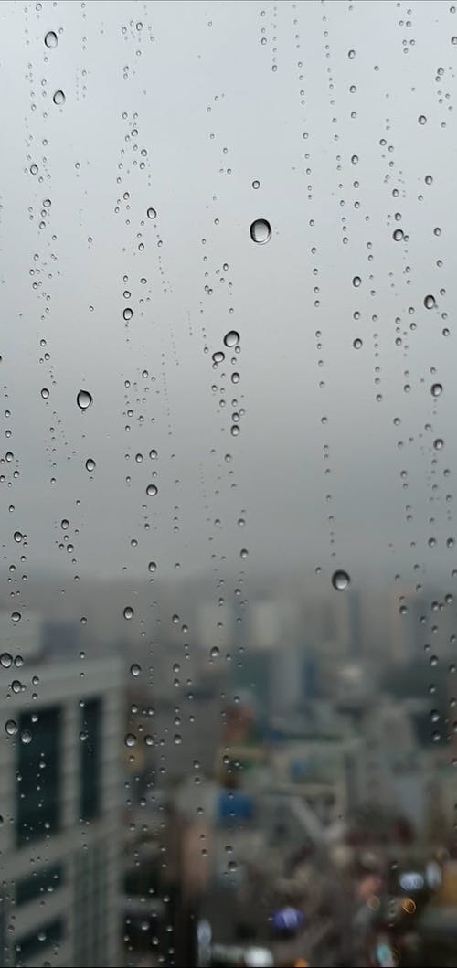 有关下雨, 垂直视频, 液体的免费素材视频