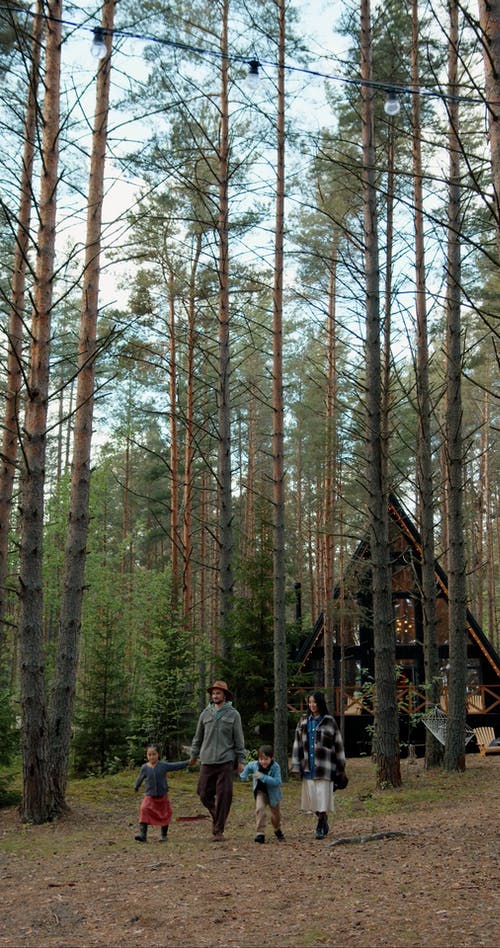 有关一对, 一起, 人的免费素材视频