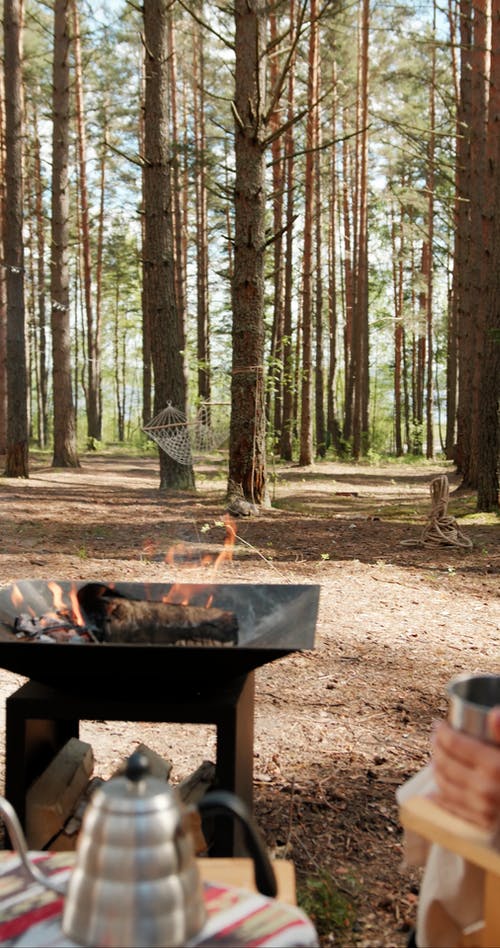 有关forestpark, 不锈钢, 侧面图的免费素材视频