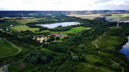 有关天性, 天空, 树木的免费素材视频