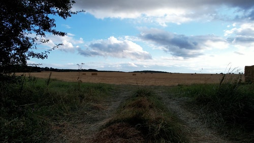 有关农业领域,天性,天空的免费素材视频