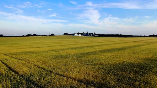 有关天空, 房屋, 林场的免费素材视频