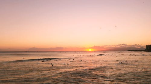 有关优美的风景, 剪影, 天空的免费素材视频