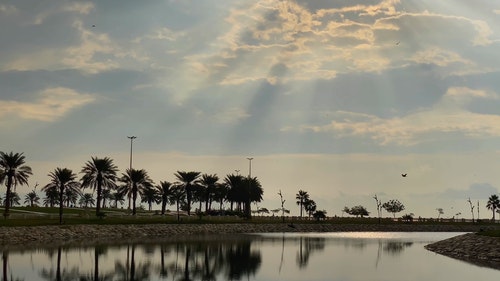 有关天性,天空,性质的免费素材视频