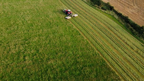 有关农业领域, 农村的场景, 增长的免费素材视频