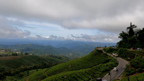 有关农村的场景, 增长, 天的免费素材视频