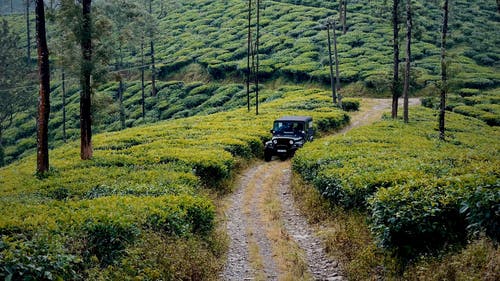 有关4×4, 一小群人, 天的免费素材视频