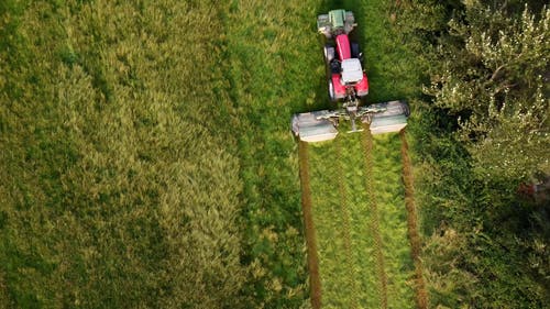 有关农业领域, 农村的场景, 增长的免费素材视频