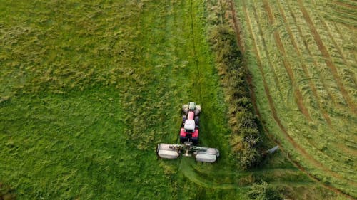 有关农业领域, 农村的场景, 增长的免费素材视频