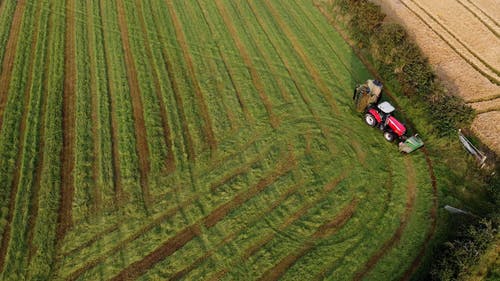有关农业领域, 农村的场景, 增长的免费素材视频