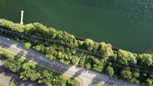 有关天性, 景观, 树木的免费素材视频