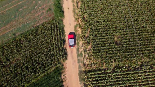 有关农田, 景观, 泥路的免费素材视频