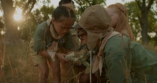 有关冒险, 动物头骨, 夏令营的免费素材视频