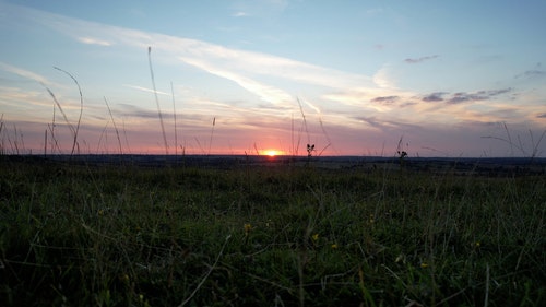 有关农业用地,田,空中镜头的免费素材视频