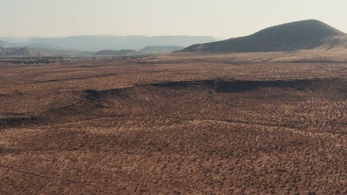 有关沙漠, 沙漠植物, 空拍图的免费素材视频