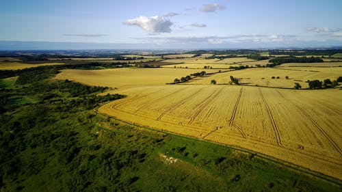有关农业领域, 农村的场景, 增长的免费素材视频