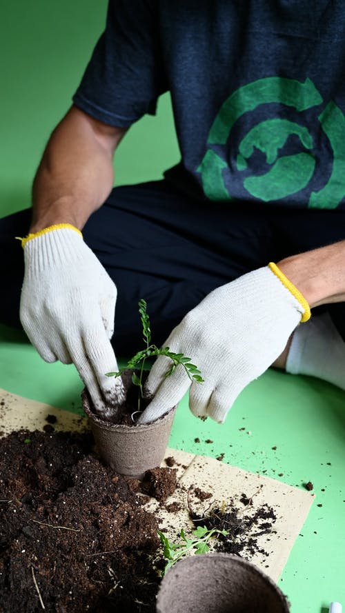 男人在盆栽植物上施土 · 免费素材视频