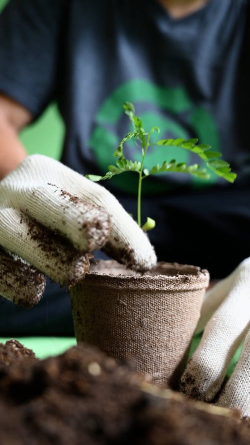 有关人, 人的手, 垂直视频的免费素材视频