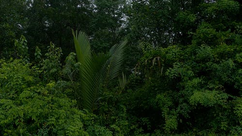 有关下雨, 下雨天, 倾盆大雨的免费素材视频