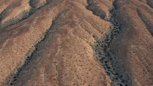 有关一般开销, 乾旱, 乾的的免费素材视频