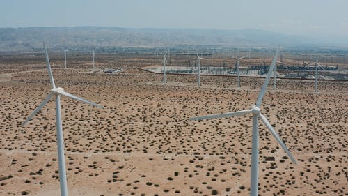 有关再生能源, 沙漠, 沙漠植物的免费素材视频