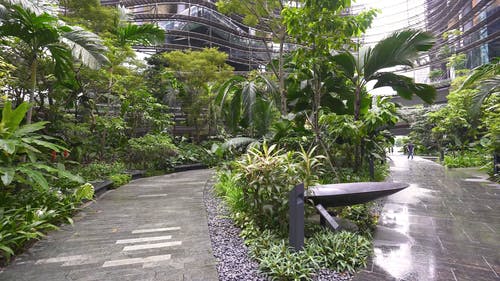 有关人行道, 天, 工厂的免费素材视频