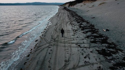 有关人, 天, 成人的免费素材视频