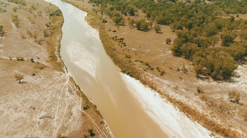 有关@户外,晴朗的天空,树木的免费素材视频