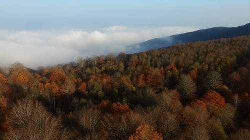 有关下落, 天性, 山的免费素材视频