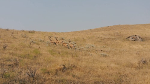 有关山,环境,组的免费素材视频